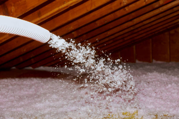Best Residential Insulation in Grenada, MS